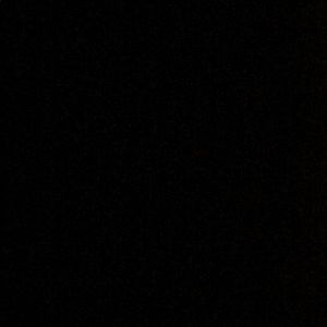 Meet your Posher, Sal